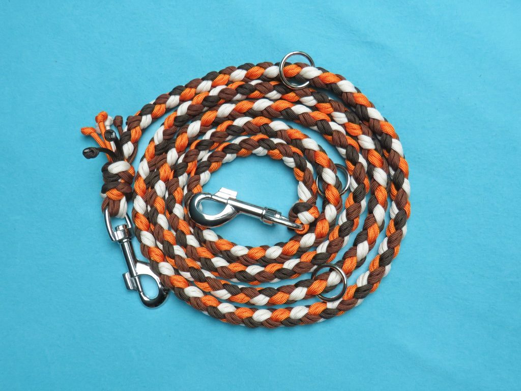 Hundeleine "Squirrel"