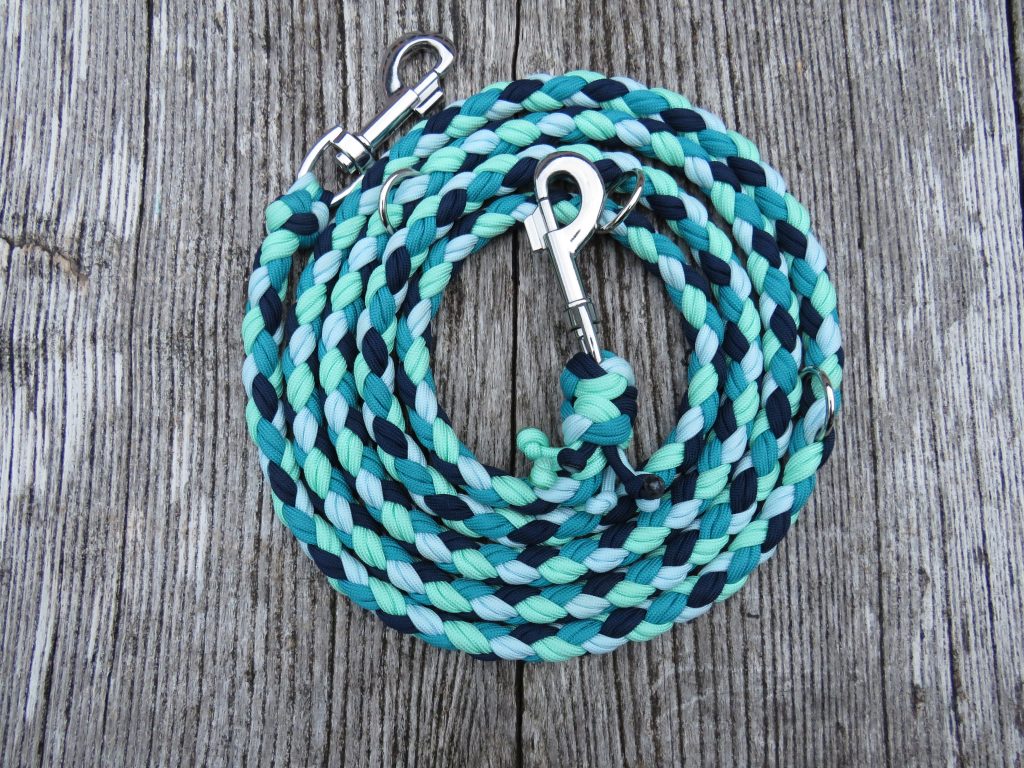 Hundeleine "Einsteins Blue Lagoon"