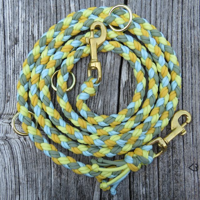 Hundeleine "Golden Pineapple"