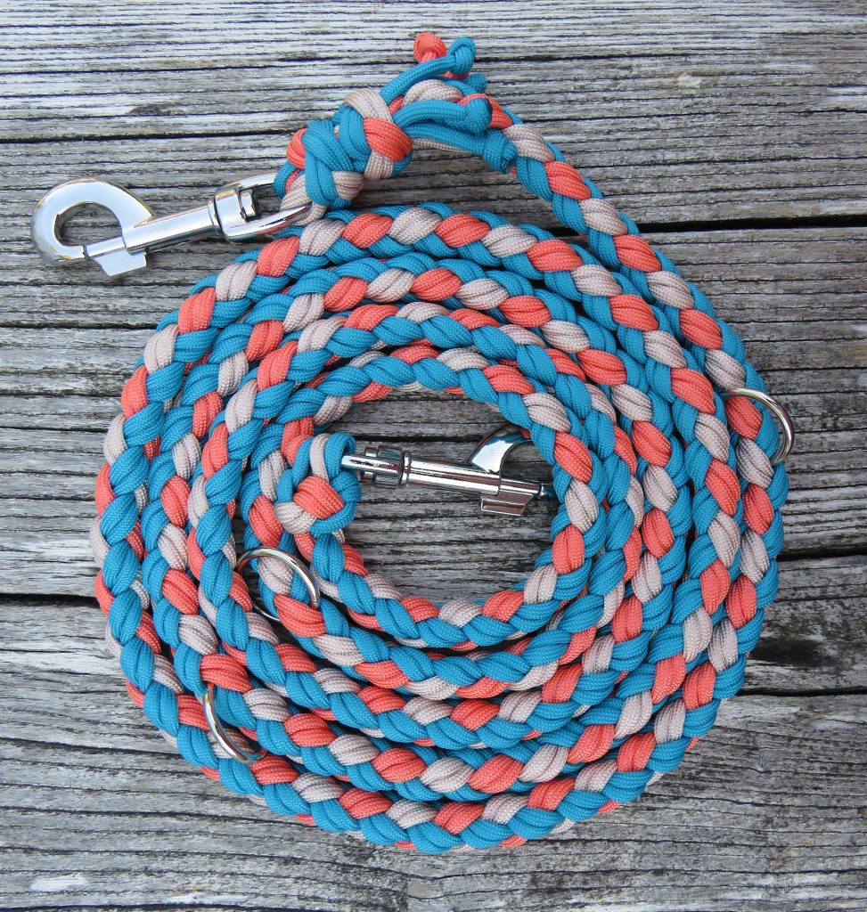 Hundeleine "Nemo" (Sofortkauf)