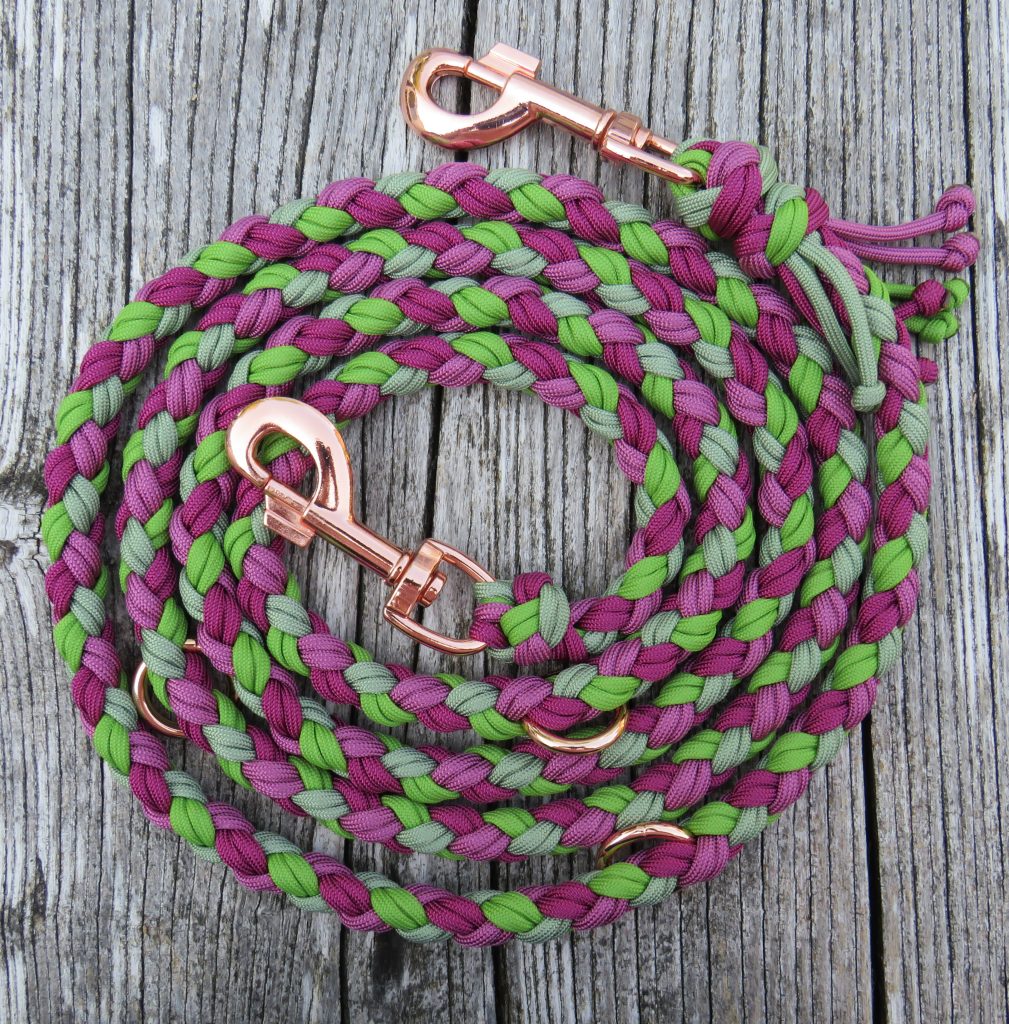 Hundeleine "Wild Raspberry"